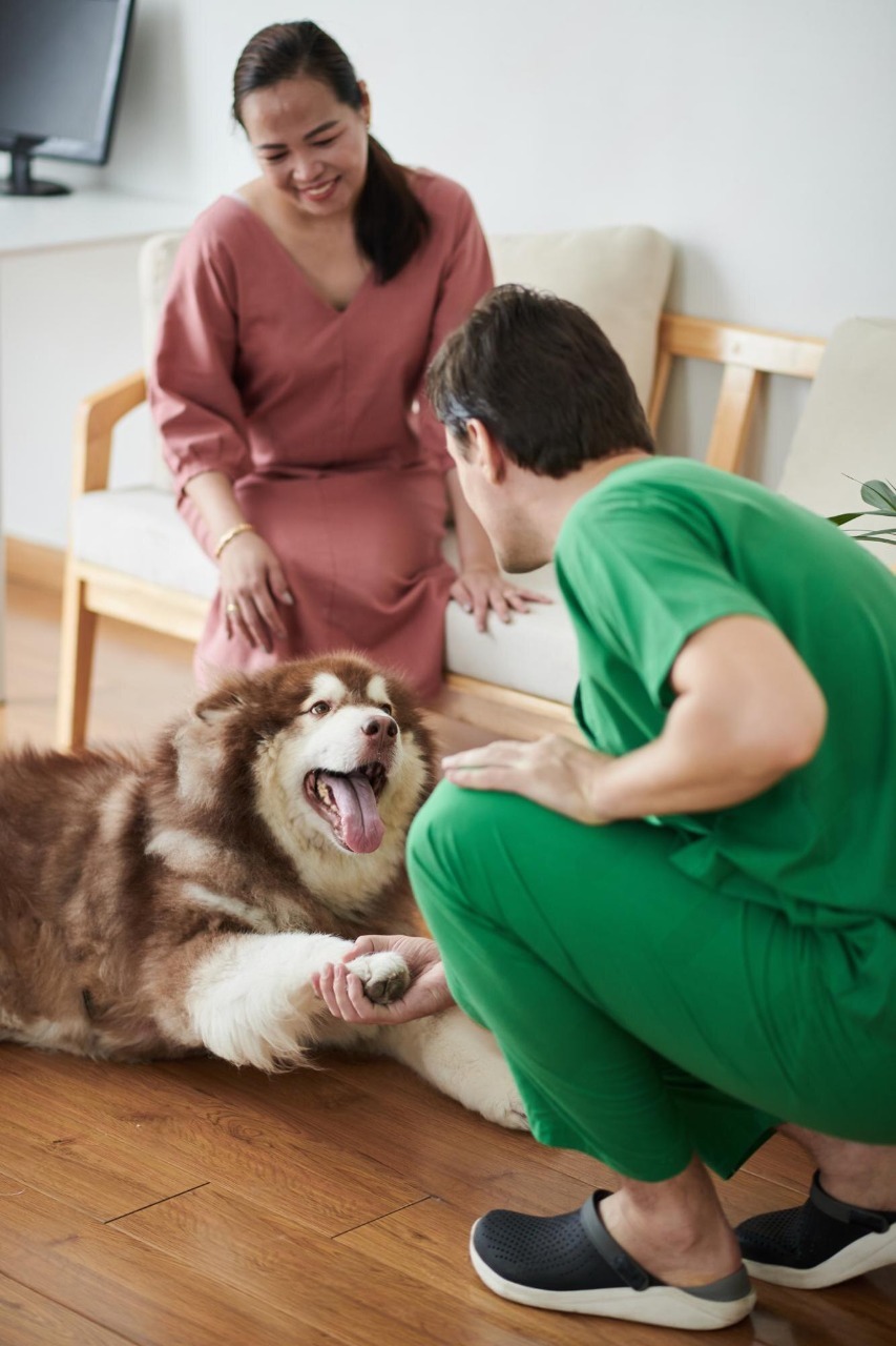 Pet Assistance 2nd image